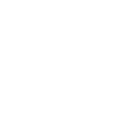 Let us tell you a little about us 7 icon04