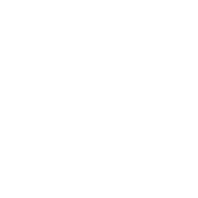 Let us tell you a little about us 8 icon05