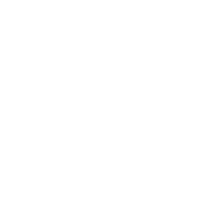 Let us tell you a little about us 9 icon06