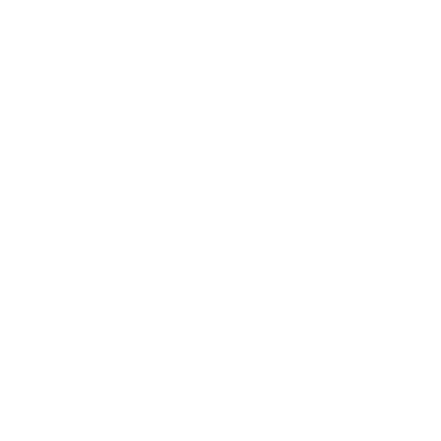 Let us tell you a little about us 10 icon07