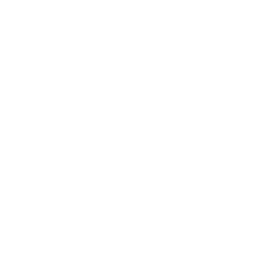 Let us tell you a little about us 11 icon08