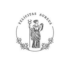 Creative company ARTEX group - web development for business 20 felicitas.com.ua